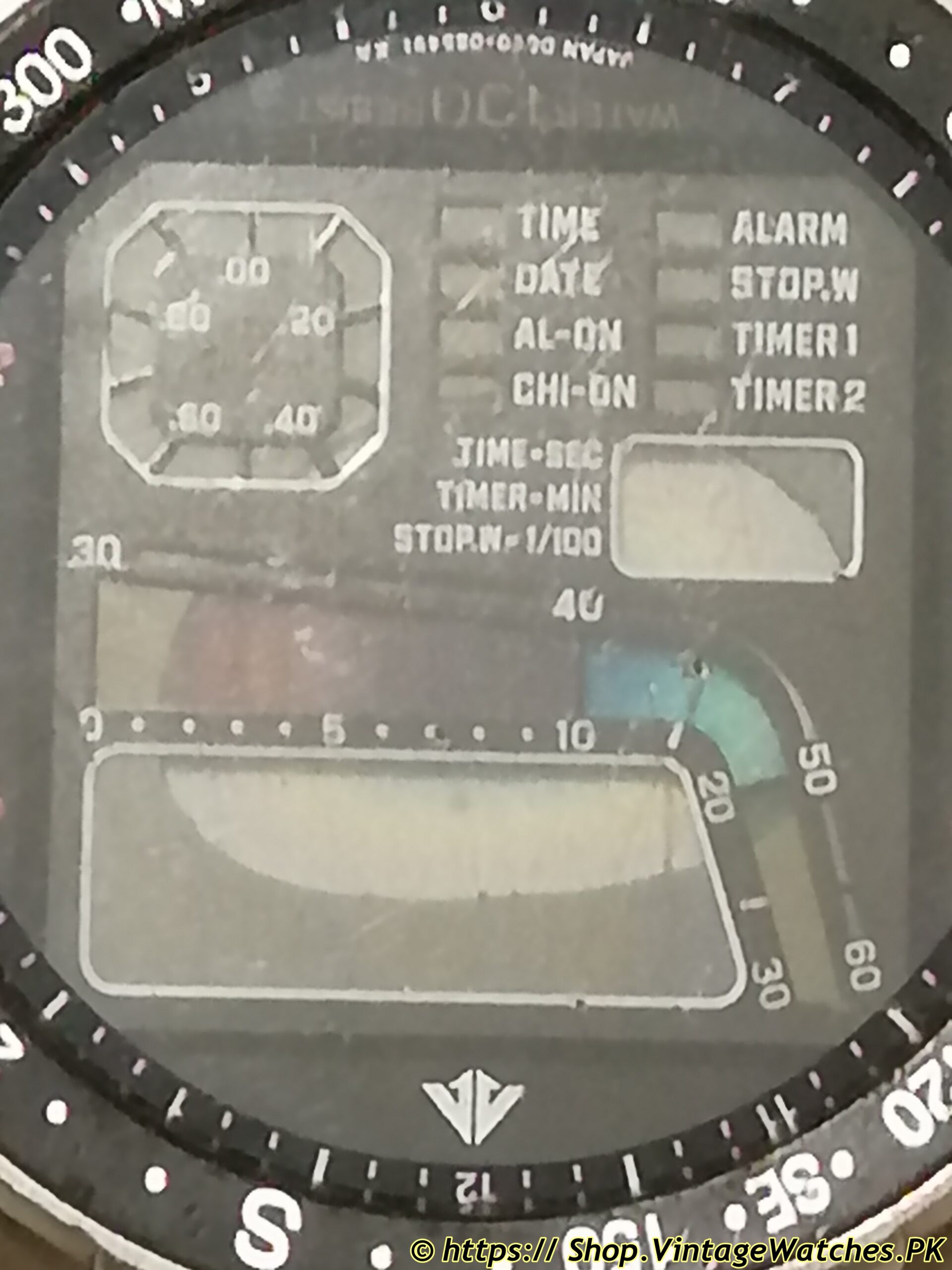 Citizen Windsurfer D060 42-8019